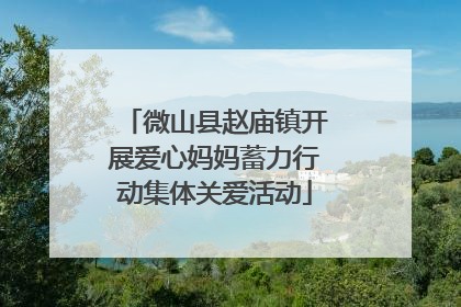 微山县赵庙镇开展爱心妈妈蓄力行动集体关爱活动
