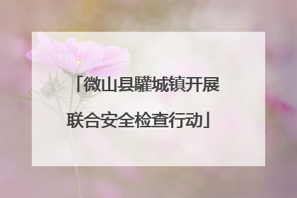 微山县驩城镇开展联合安全检查行动