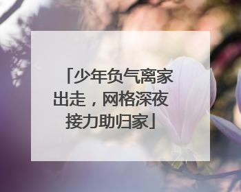 少年负气离家出走，网格深夜接力助归家