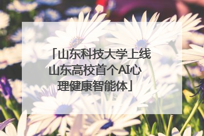 山东科技大学上线山东高校首个AI心理健康智能体