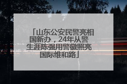 山东公安民警亮相国新办，24年从警生涯陈强用警徽照亮国际维和路