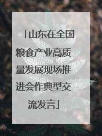 山东在全国粮食产业高质量发展现场推进会作典型交流发言