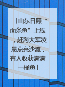 山东日照“面条鱼”上线，赶海大军凌晨点亮沙滩，有人收获满满一桶鱼