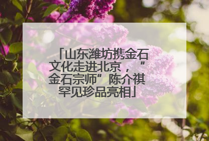 山东潍坊携金石文化走进北京，“金石宗师”陈介祺罕见珍品亮相