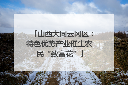 山西大同云冈区：特色优势产业催生农民“致富花”