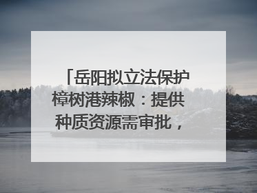 岳阳拟立法保护樟树港辣椒：提供种质资源需审批，违规最高罚5万
