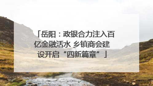 岳阳：政银合力注入百亿金融活水 乡镇商会建设开启“四新篇章”