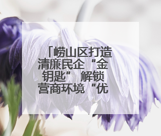崂山区打造清廉民企“金钥匙” 解锁营商环境“优”密码