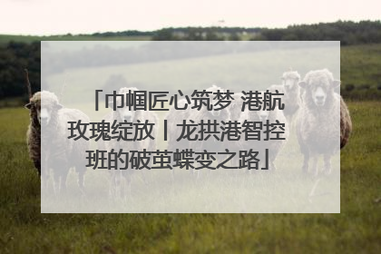 巾帼匠心筑梦 港航玫瑰绽放丨龙拱港智控班的破茧蝶变之路