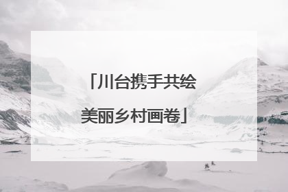 川台携手共绘美丽乡村画卷