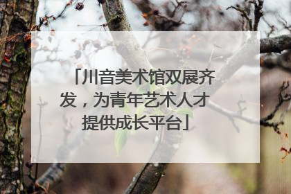 川音美术馆双展齐发，为青年艺术人才提供成长平台