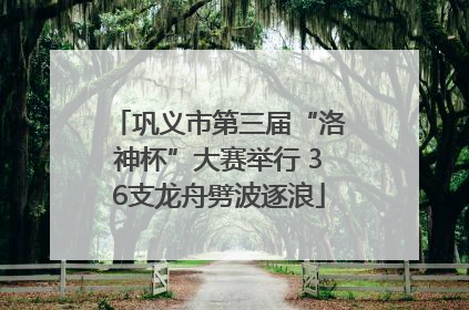 巩义市第三届“洛神杯”大赛举行 36支龙舟劈波逐浪
