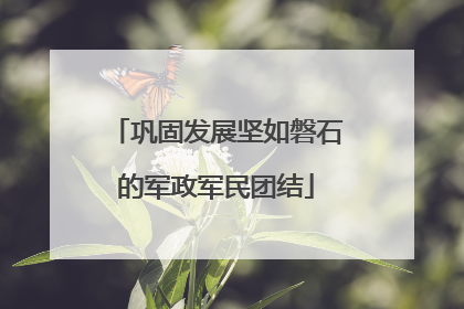 巩固发展坚如磐石的军政军民团结