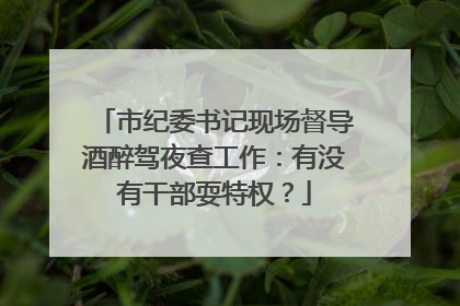 市纪委书记现场督导酒醉驾夜查工作：有没有干部耍特权？