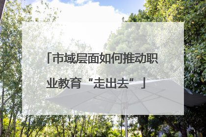 市域层面如何推动职业教育“走出去”