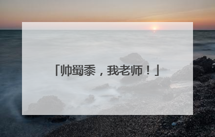 帅蜀黍，我老师！
