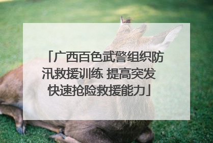 广西百色武警组织防汛救援训练 提高突发快速抢险救援能力