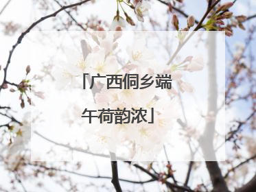 广西侗乡端午荷韵浓