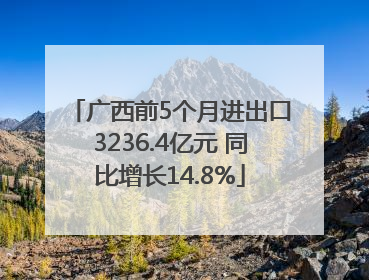 广西前5个月进出口3236.4亿元 同比增长14.8%
