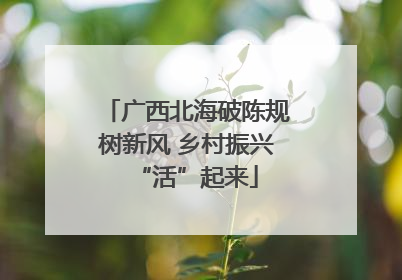 广西北海破陈规树新风 乡村振兴“活”起来