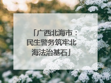 广西北海市：民生警务筑牢北海法治基石