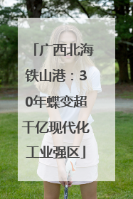 广西北海铁山港：30年蝶变超千亿现代化工业强区