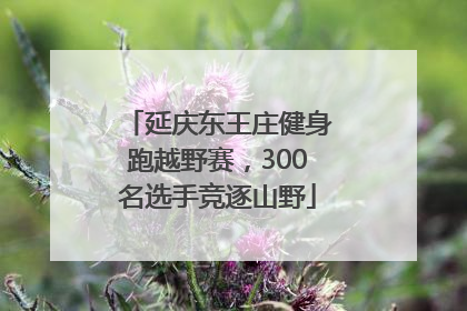 延庆东王庄健身跑越野赛，300名选手竞逐山野