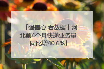 强信心 看数据丨河北前4个月快递业务量同比增40.6%