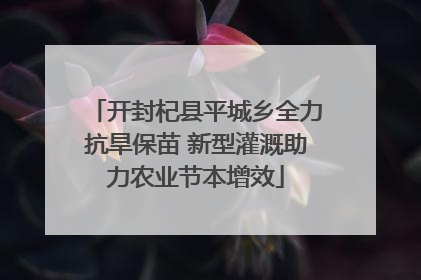 开封杞县平城乡全力抗旱保苗 新型灌溉助力农业节本增效