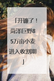 开镰了！菏泽巨野85万亩小麦进入收割期