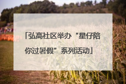 弘高社区举办“星仔陪你过暑假”系列活动