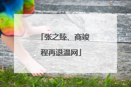 张之臻、商竣程再退温网