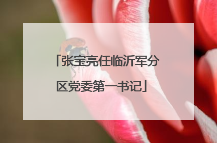 张宝亮任临沂军分区党委第一书记