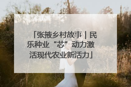 张掖乡村故事｜民乐种业“芯”动力激活现代农业新活力
