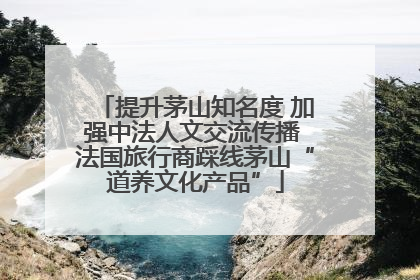 提升茅山知名度 加强中法人文交流传播 法国旅行商踩线茅山“道养文化产品”