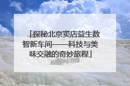 探秘北京窦店益生数智新车间——科技与美味交融的奇妙旅程