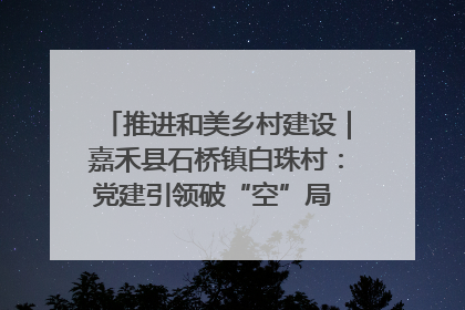 推进和美乡村建设｜嘉禾县石桥镇白珠村：党建引领破“空”局 乡贤聚力绘就新图景