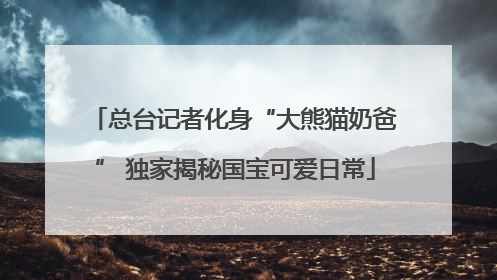 总台记者化身“大熊猫奶爸” 独家揭秘国宝可爱日常