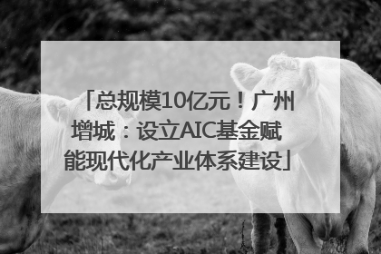 总规模10亿元！广州增城：设立AIC基金赋能现代化产业体系建设