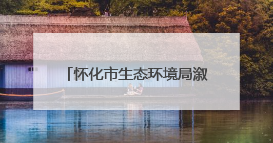 怀化市生态环境局溆浦分局：环保服务暖人心 信用帮扶伴企行