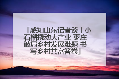 感知山东记者谈丨小石榴撬动大产业 枣庄破局乡村发展难题 书写乡村共富答卷