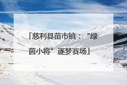 慈利县苗市镇：“绿茵小将”逐梦赛场