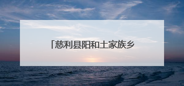 慈利县阳和土家族乡：以“迅”应“汛” 为群众撑起安全伞