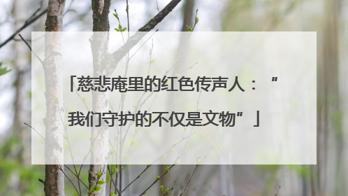 慈悲庵里的红色传声人：“我们守护的不仅是文物”