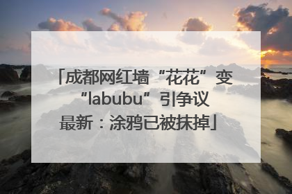 成都网红墙“花花”变“labubu”引争议 最新：涂鸦已被抹掉