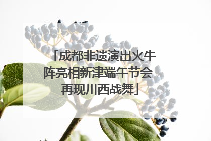 成都非遗演出火牛阵亮相新津端午节会 再现川西战舞