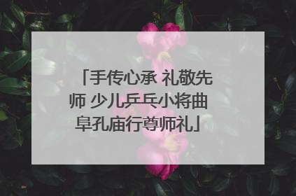 手传心承 礼敬先师 少儿乒乓小将曲阜孔庙行尊师礼