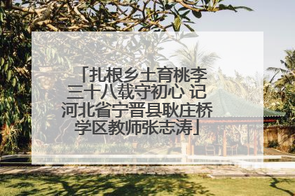 扎根乡土育桃李 三十八载守初心 记河北省宁晋县耿庄桥学区教师张志涛