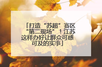 打造“苏超”赛区“第二现场”！江苏这样办好让群众可感可及的实事