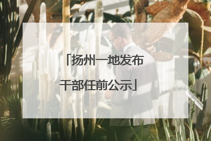 扬州一地发布干部任前公示